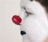 Picture of ProKNOWS Professional Clown Nose -  Large Red Gloss Tip (LT-1)