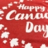Picture of Canada Day - Apparel - Shirt - S
