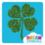 Picture of Four-Leaf Clover Glitter Tattoo Stencil - HP-45 (5pc pack)