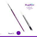 Picture of Blazin Brush by Marcela Bustamante - Round 3 (R3 - White bristles)