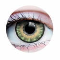 Picture of Primal Sunrise Jade (Green Colored Contact Lenses) 515