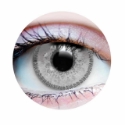 Picture of Primal Charm Pearl Ash (Grey Colored Contact Lenses) 664