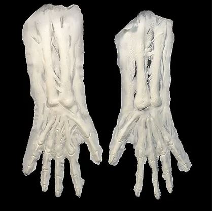 Picture of Woochie Skeleton Arms Foam Prosthetic Appliance (FO147)