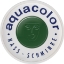 Picture of Kryolan Aquacolor Face Paint - Medium Green 512 (30 ml)