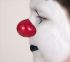 Picture of ProKNOWS Professional Clown Nose -  Medium Red Gloss Nose (BS2)