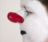 Picture of ProKNOWS Professional Clown Nose -  Large Red Gloss Nose (Marvo)