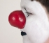 Picture of ProKNOWS Professional Clown Nose -  Large Red Gloss Nose (Ralph)
